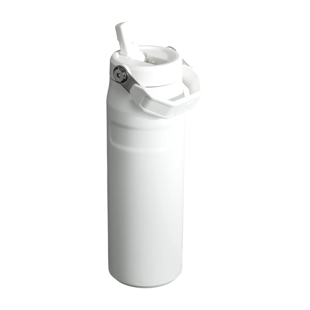 Stanley The IceFlow Bottle with Flip Straw Lid | 24 OZ Frost