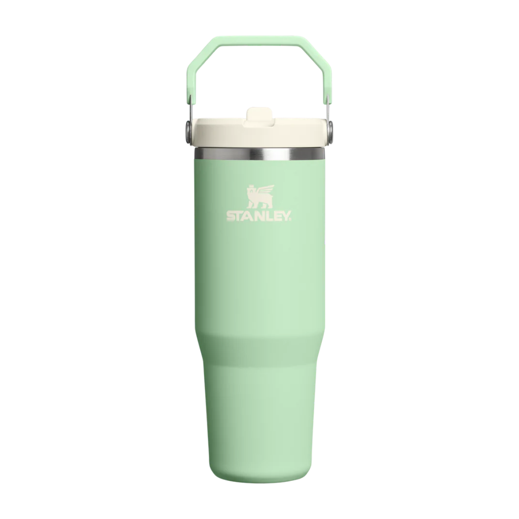 Stanley The IceFlow Flip Straw Tumbler | 30 OZ Pistachio