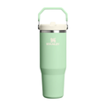 Stanley The IceFlow Flip Straw Tumbler | 30 OZ Pistachio