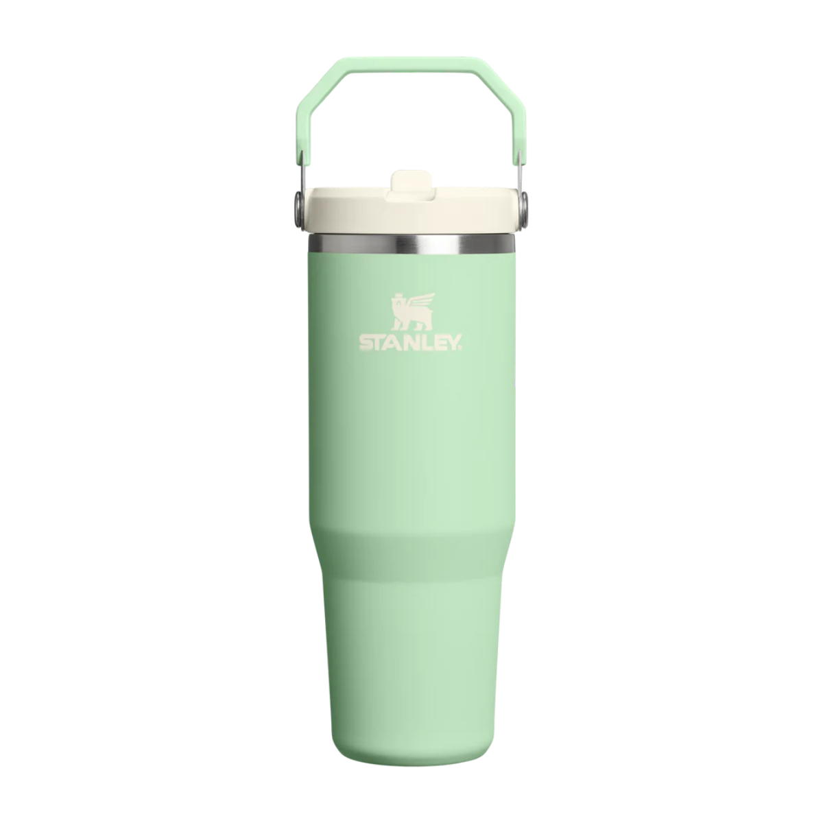 Stanley The IceFlow Flip Straw Tumbler | 30 OZ Pistachio