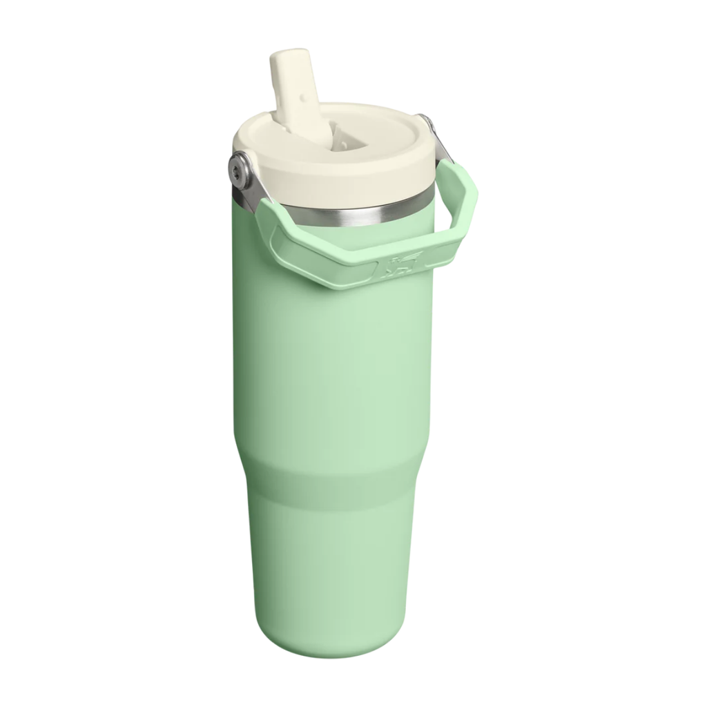 Stanley The IceFlow Flip Straw Tumbler | 30 OZ Pistachio