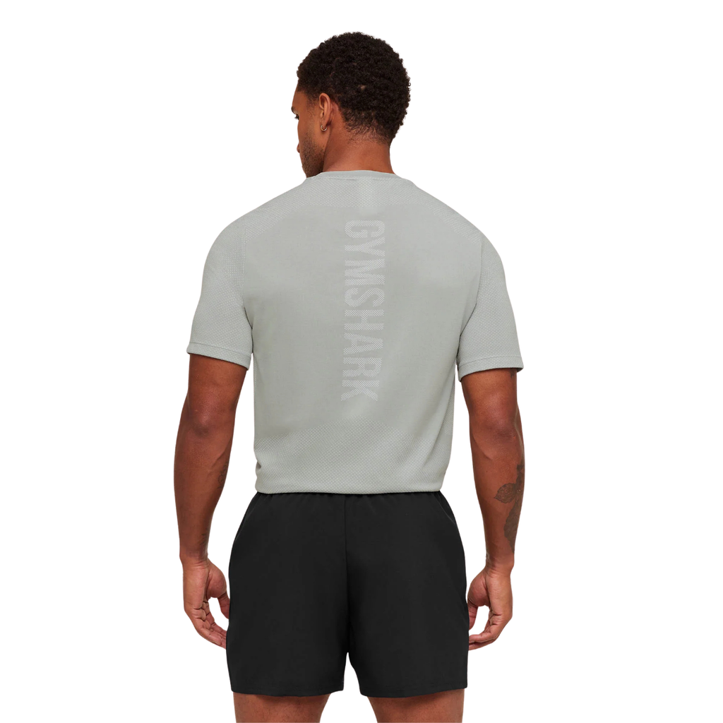 Gymshark Lightweight Seamless T-Shirt Denim Grey Light Grey