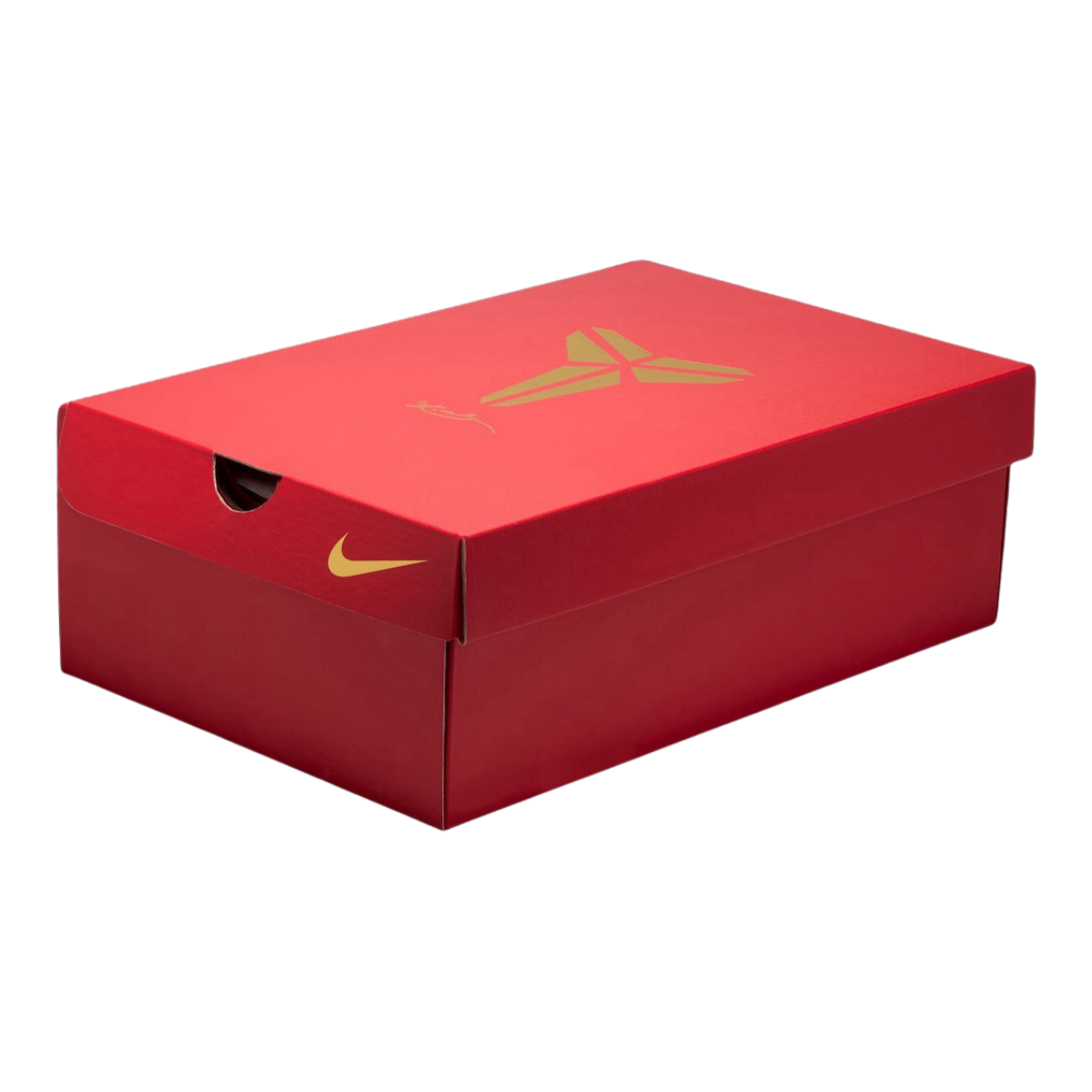 Nike Kobe 5 Protro Year of the Mamba Eggplant