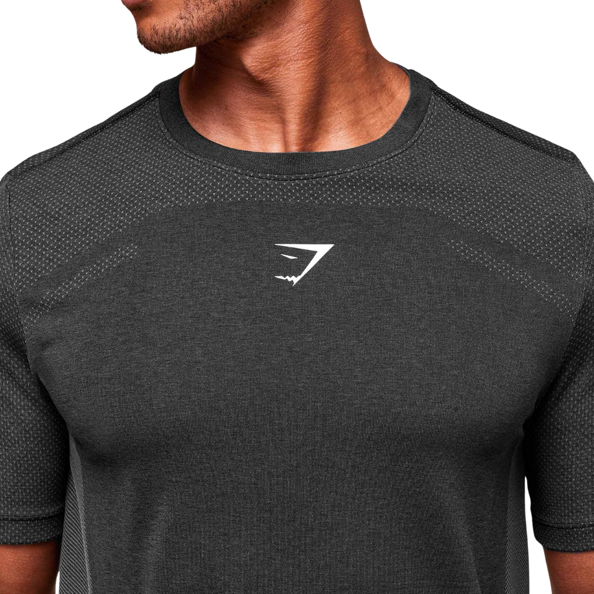 Gymshark Lightweight Seamless T-Shirt Black Silhouette Grey