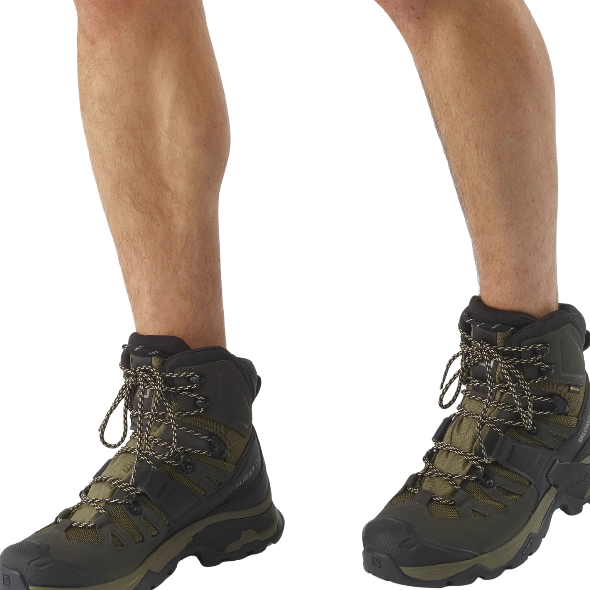 Salomon Quest 4 Gore-Tex Olive Night Peat Safari