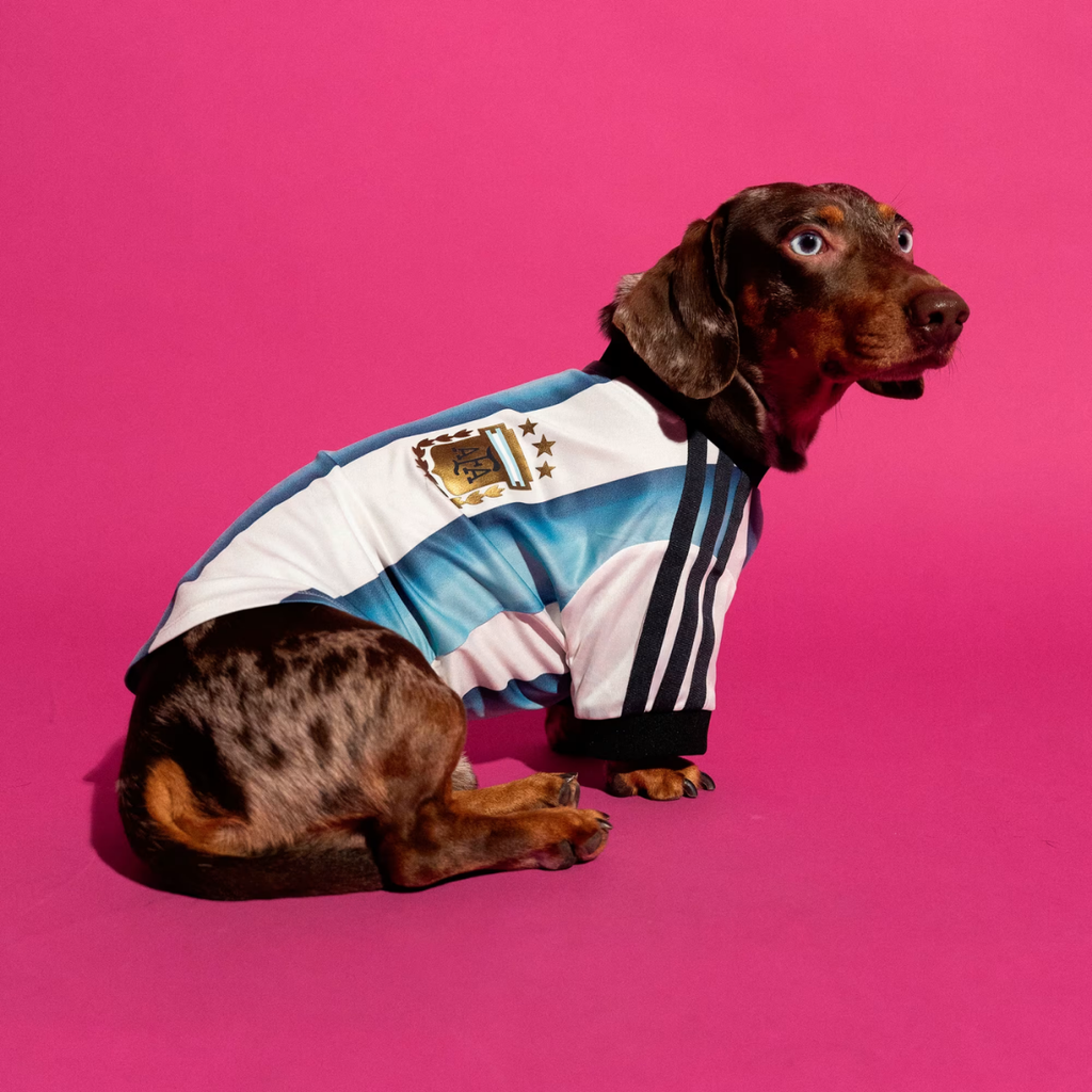 Adidas Pet Argentina 26 Jersey White Icey Blue