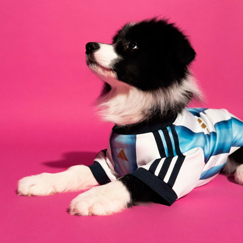 Adidas Pet Argentina 26 Jersey White Icey Blue