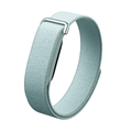 Google Fitbit Air Fog