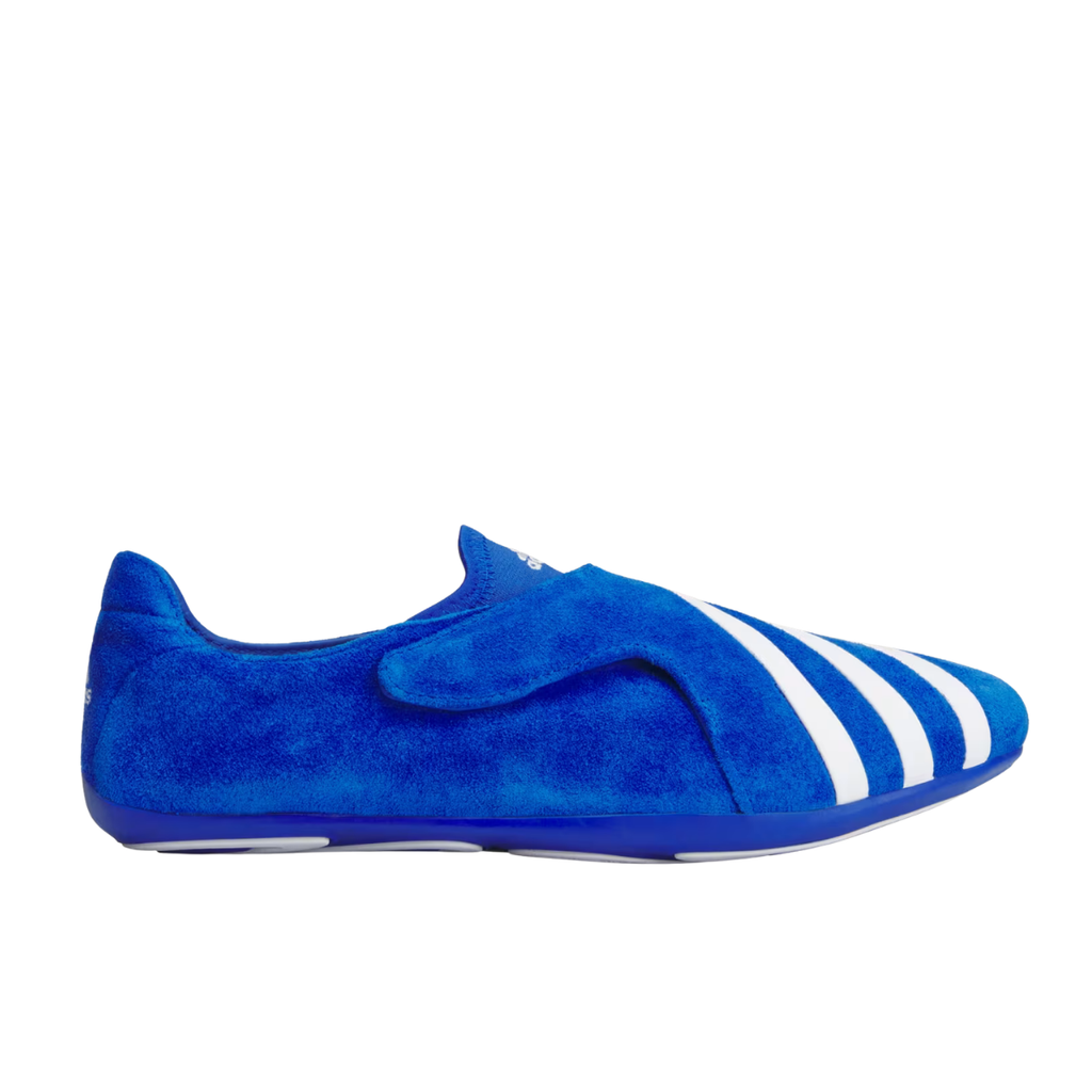 Adidas Vario Flat Earther Pharrell Blue White