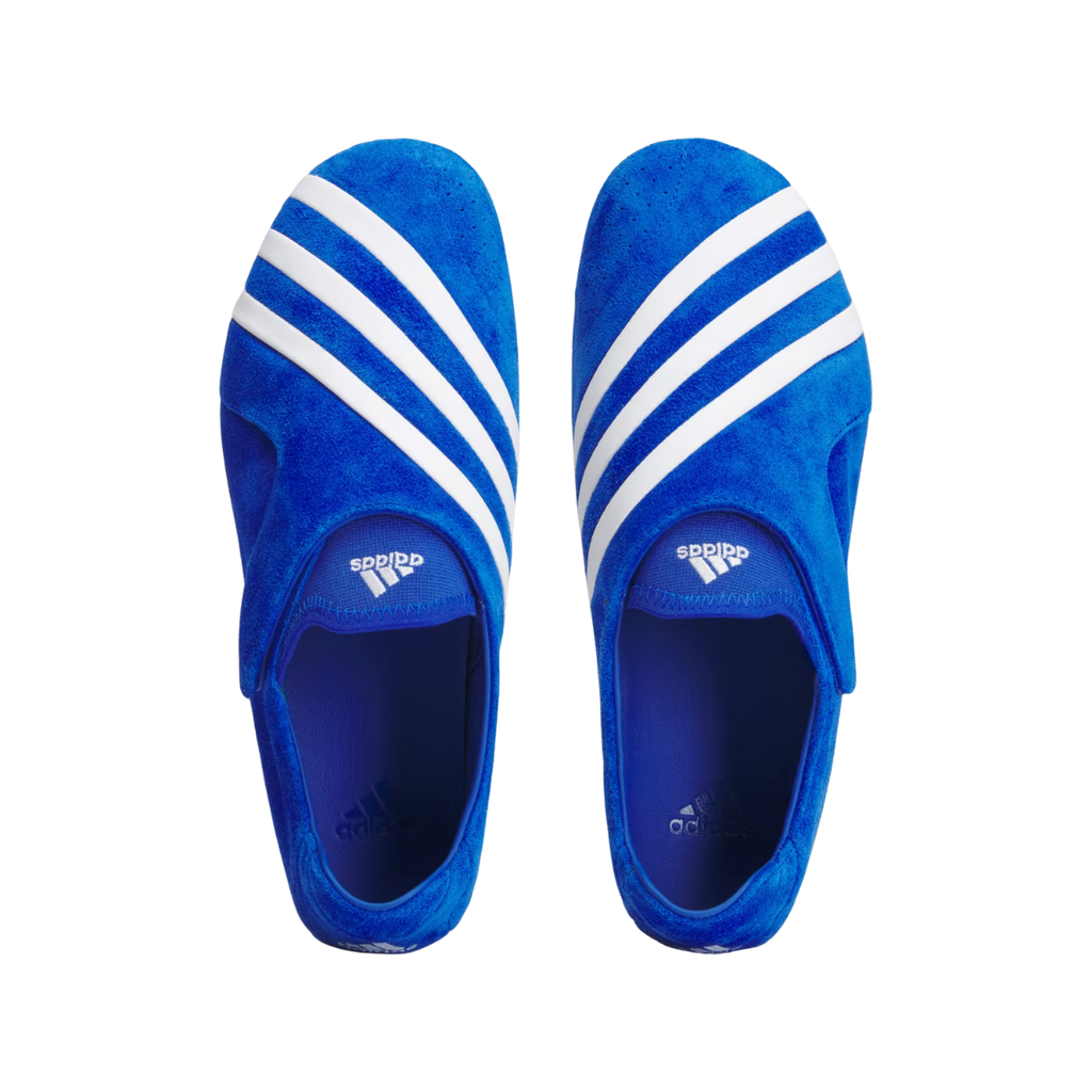 Adidas Vario Flat Earther Pharrell Blue White