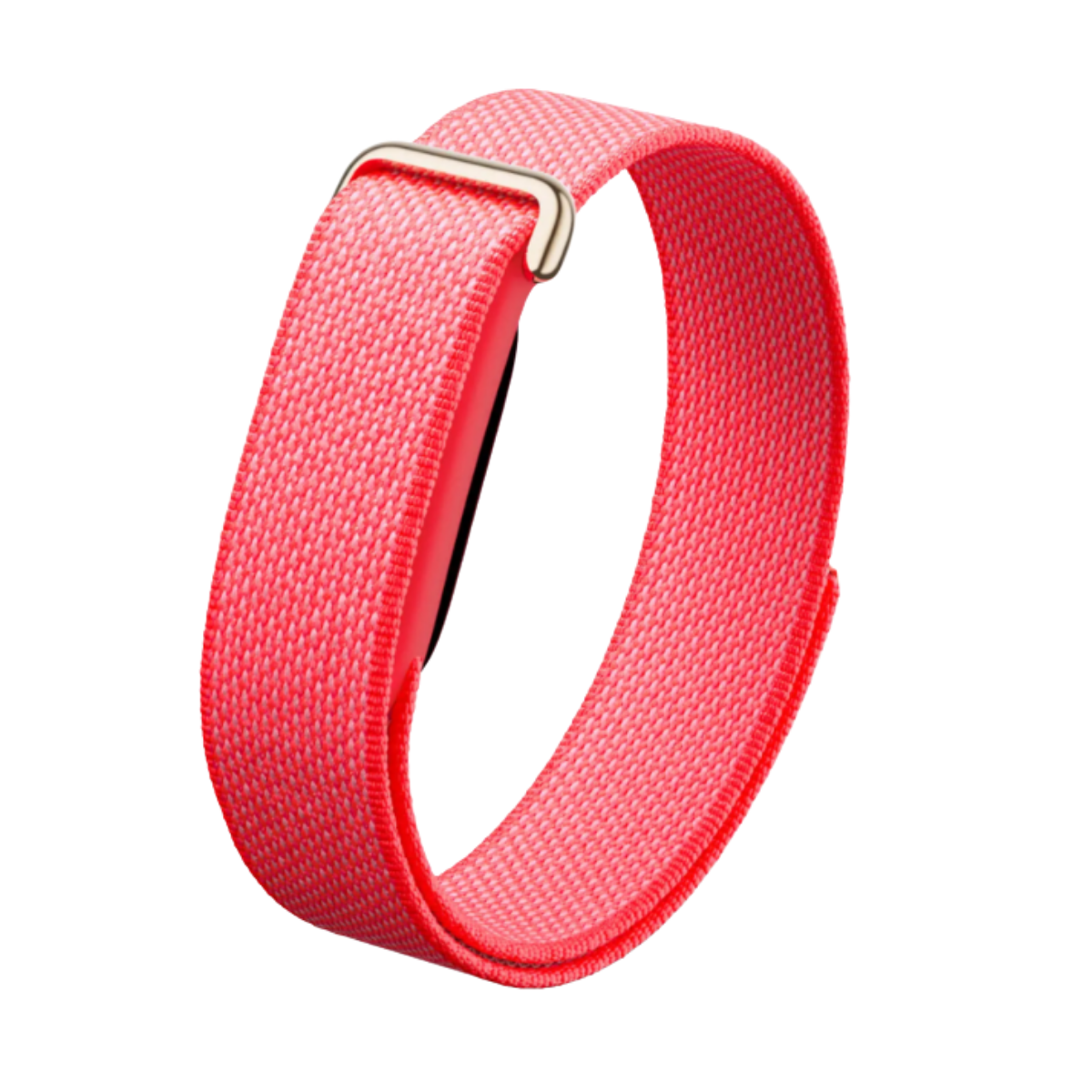 Google Fitbit Air Performance Loop Band Strap Berry