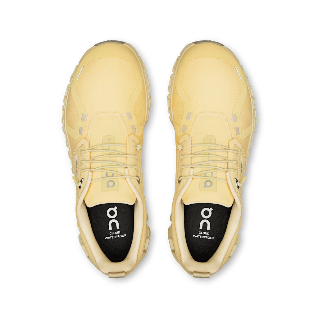 On Running Cloud 6 Waterproof Nectar Castor (W)