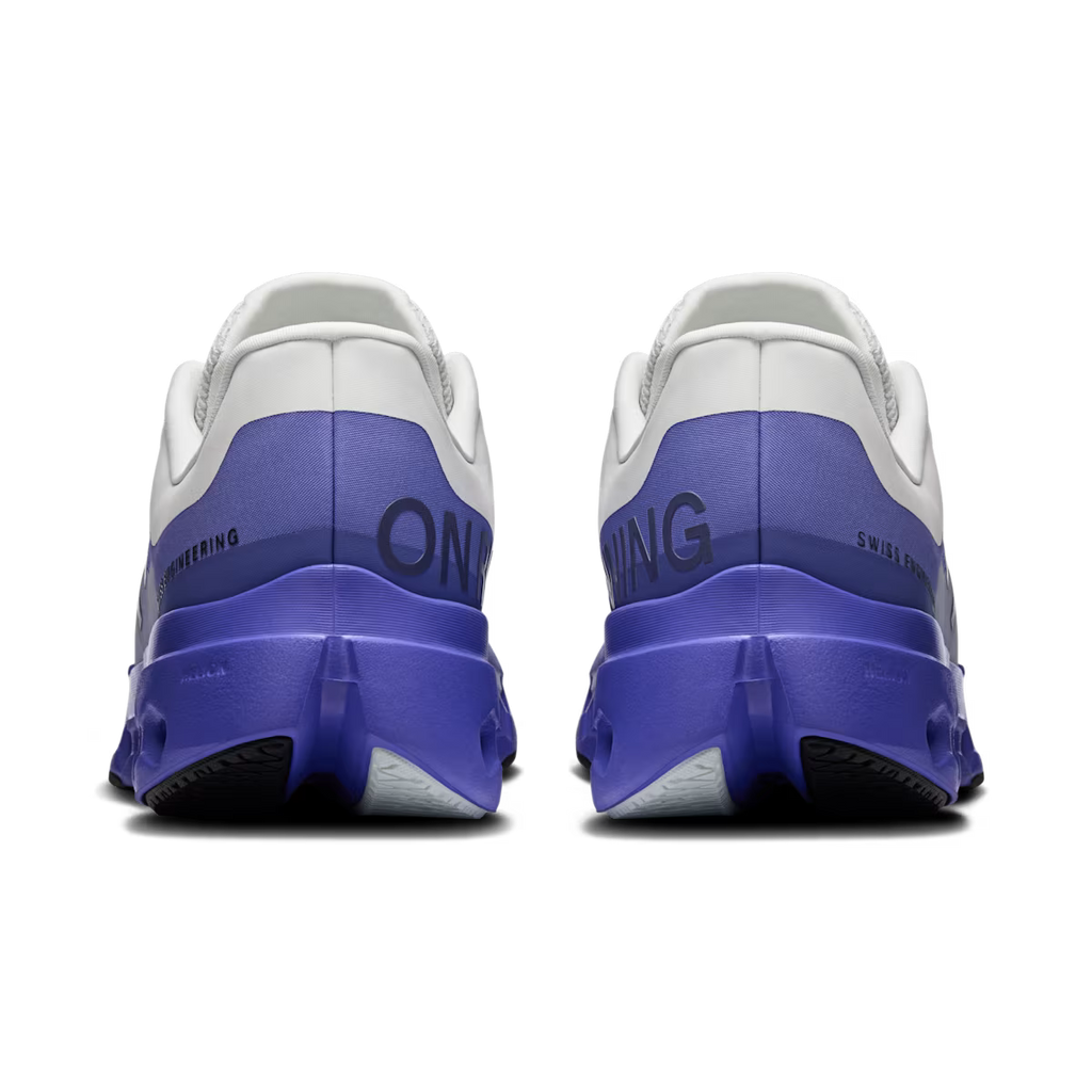 On Running Cloudsurfer Next Sailor Iceberg